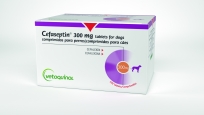 Cefaseptin 300 mg comprimés pour chiens