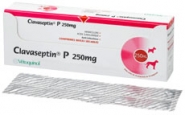 Clavaseptin® P 250 mg
