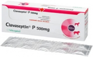 Clavaseptin® P 500 mg