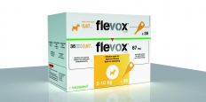 Flevox® 67 mg petit chien